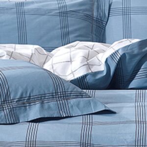 sentonia emprime set blue checks leptomereia