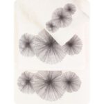 petsetes set 3tmx 53408 ekrou